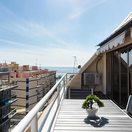 Edf Aurea Y Edf Sarvacho Benidorm